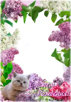 Kategoriden fotoefekt Doğum Günü Kartları № 205692. Çerçeve üzerindeki yazı: Doğum Günün Kutlu Olsun! Kategoriden fotoefekt Doğum Günü Kartları № 205692. Çerçeve üzerindeki yazı: Doğum Günün Kutlu Olsun!