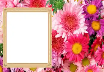 Kategoriden fotoefekt Kadın Fotoğraf Çerçeveleri № 206193 Kategoriden fotoefekt Kadın Fotoğraf Çerçeveleri № 206193