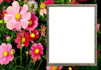 Kategoriden fotoefekt Kadın Fotoğraf Çerçeveleri № 206194 Kategoriden fotoefekt Kadın Fotoğraf Çerçeveleri № 206194
