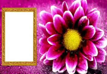 Kategoriden fotoefekt Kadın Fotoğraf Çerçeveleri № 206195 Kategoriden fotoefekt Kadın Fotoğraf Çerçeveleri № 206195